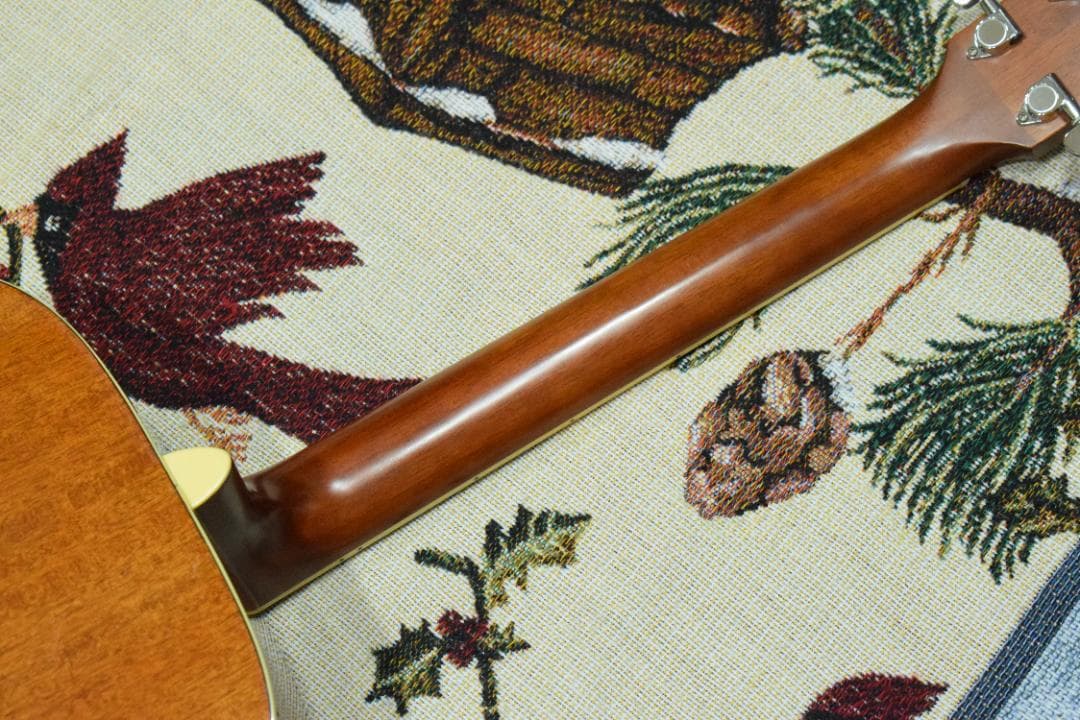 YAMAHA ヤマハ FS720S TBS ケース付き アコギ