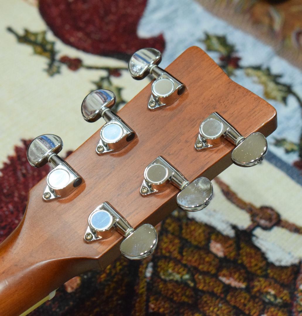 YAMAHA ヤマハ FS720S TBS ケース付き アコギ