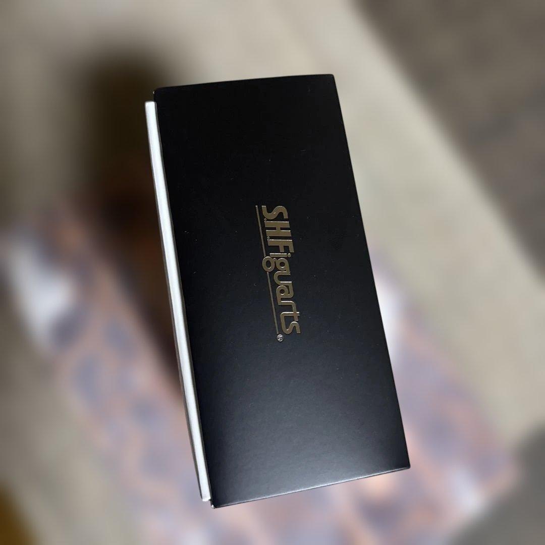 S.H.Figuarts（真骨彫製法） 仮面ライダー龍騎