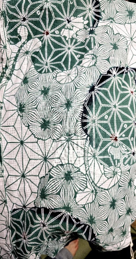 日本橋竺仙 今は見かけない珍品蕗柄、紅差し色