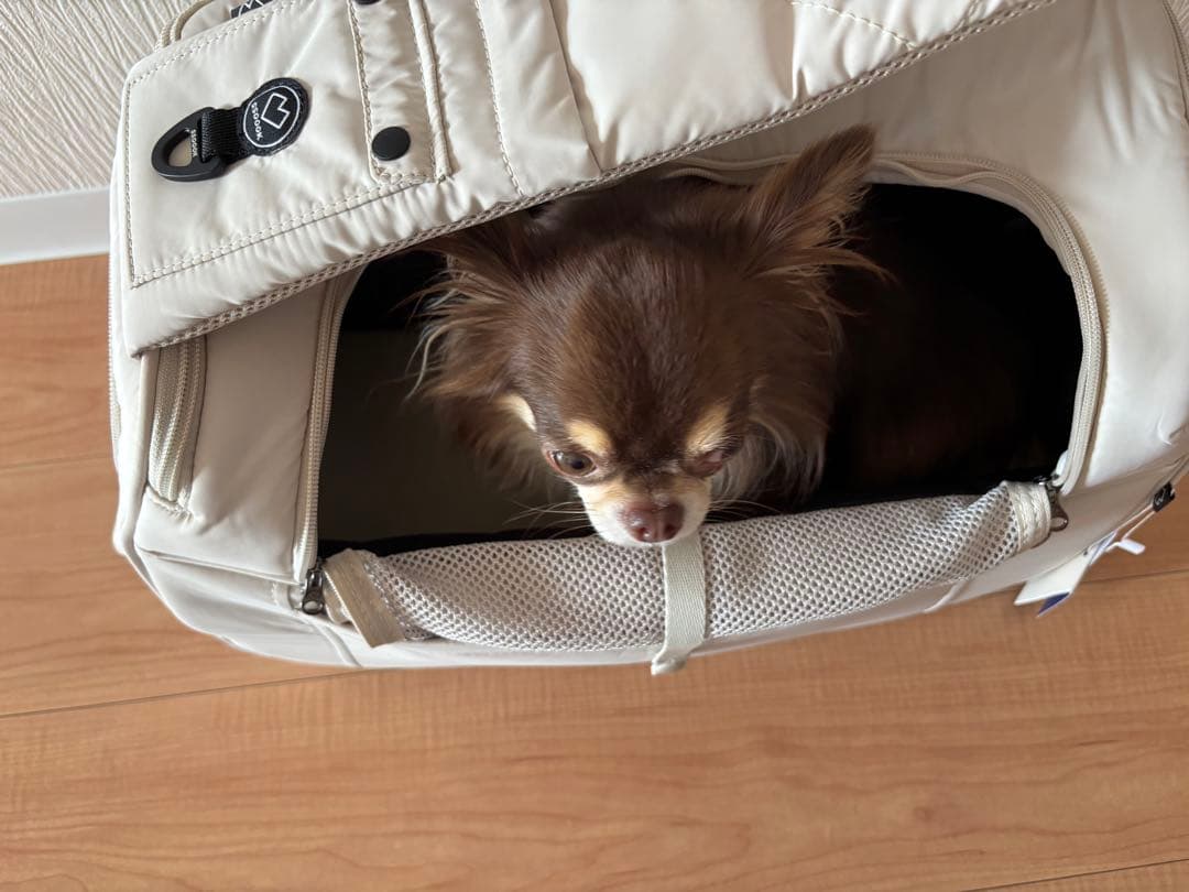 新品 SSOOOK SLINGBAG V.スマート バッグ左 スリングバッグ