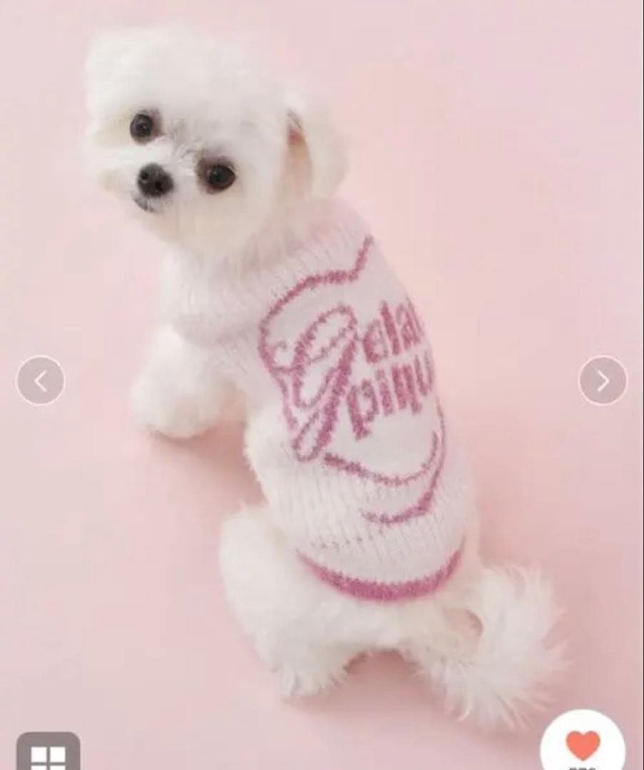 新品2点Mサイズ【HOLIDAY】【CAT&DOG】キラキラフェザープルオーバー