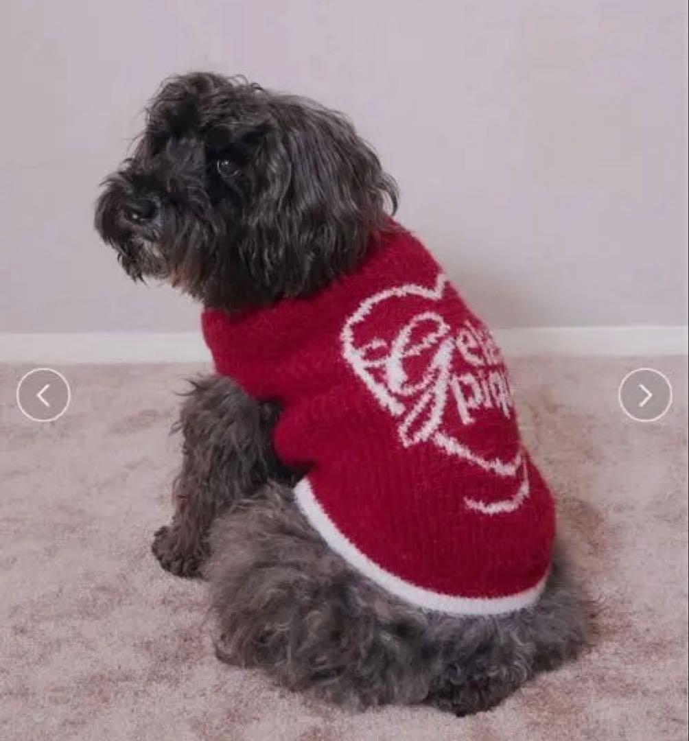 新品2点Mサイズ【HOLIDAY】【CAT&DOG】キラキラフェザープルオーバー