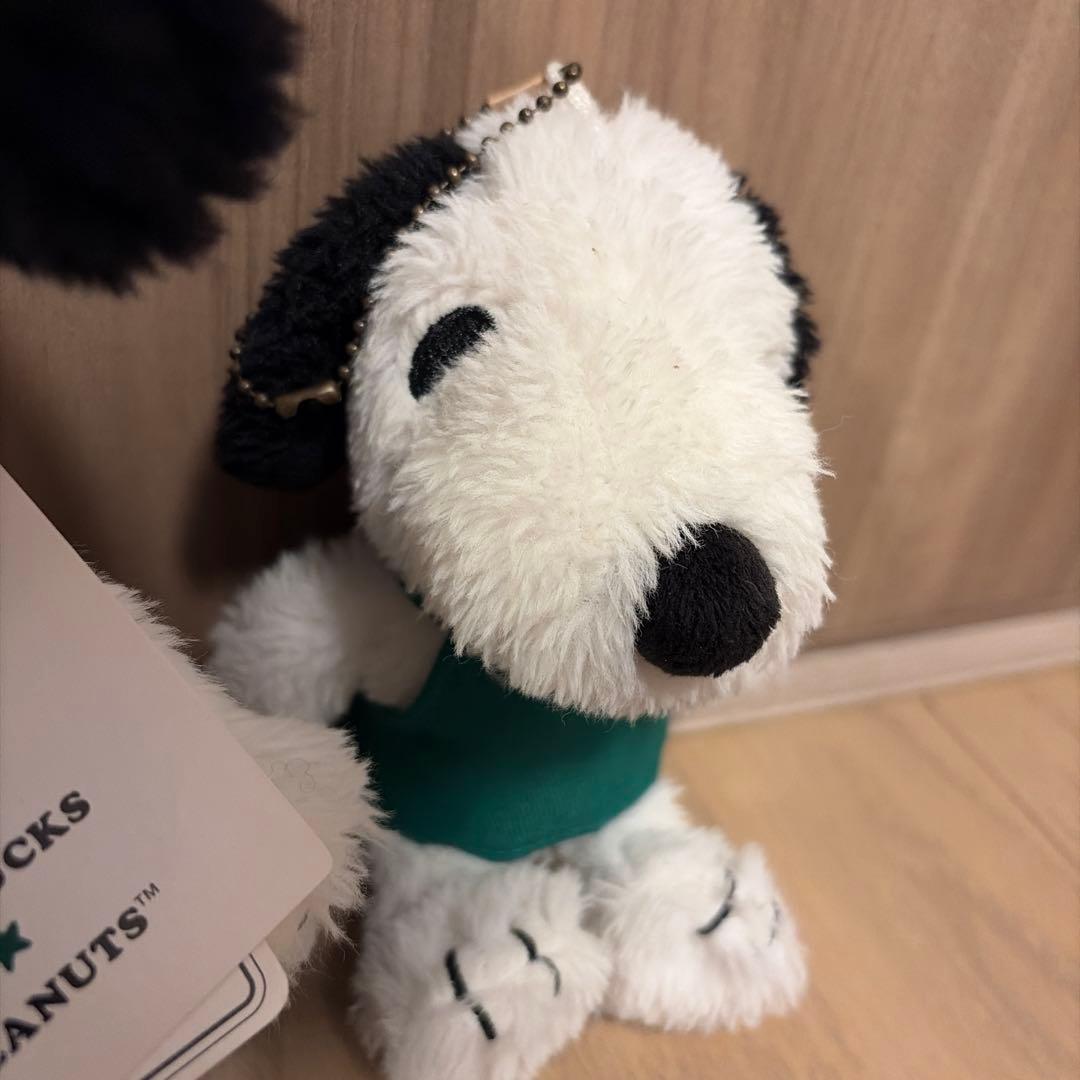 スタバ　スヌーピーコラボ