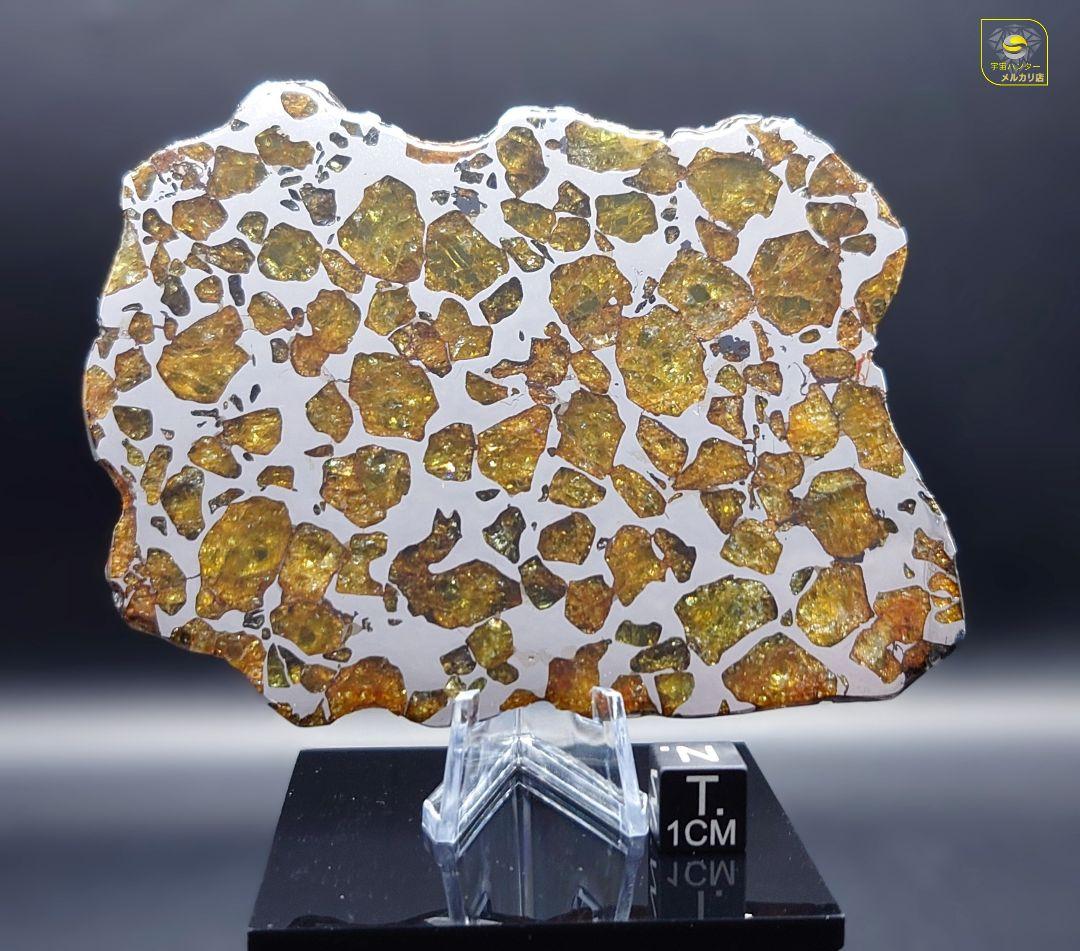 ★77.24g イミラック パラサイト 隕石 Imilac⭐⭐⭐