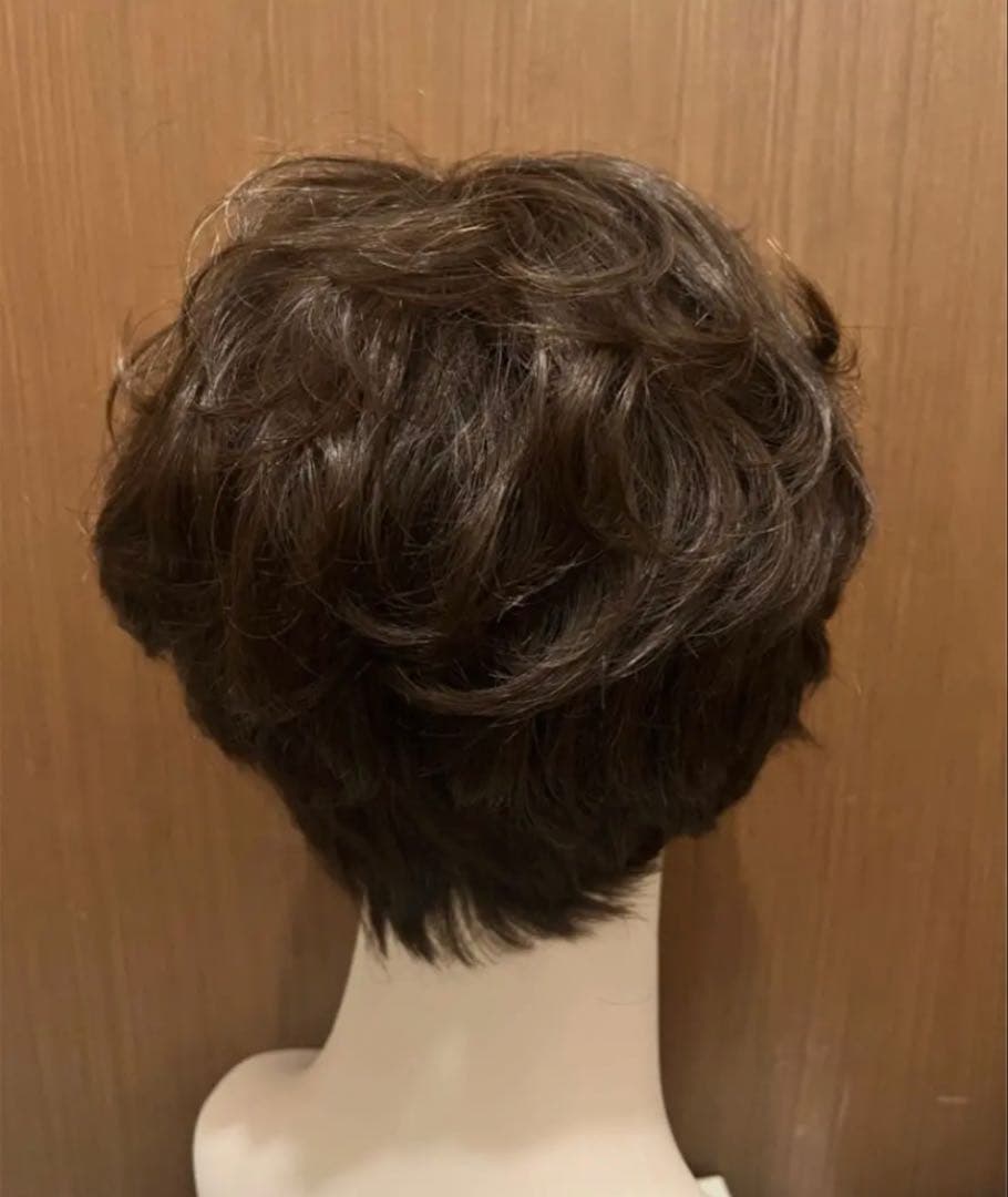 気品人毛100% つむじ部分手植え ショートウィッグN890