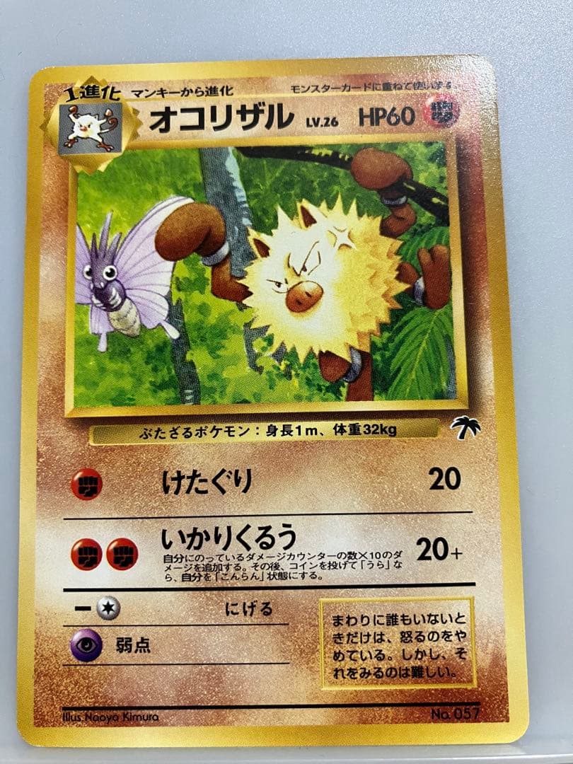 ラフレシア オコリザル ベロリンガ 映画公開記念パック サザンアイランド