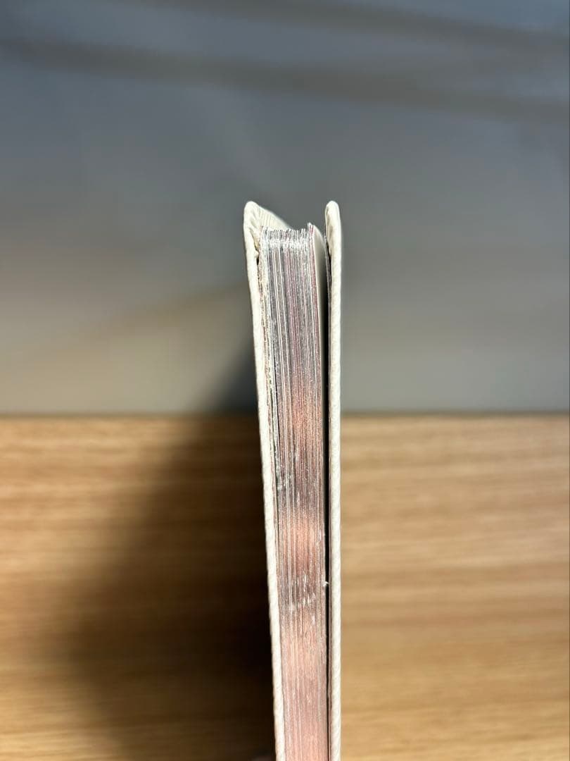 【希少】ルイ・ヴィトン　カラーリングブック