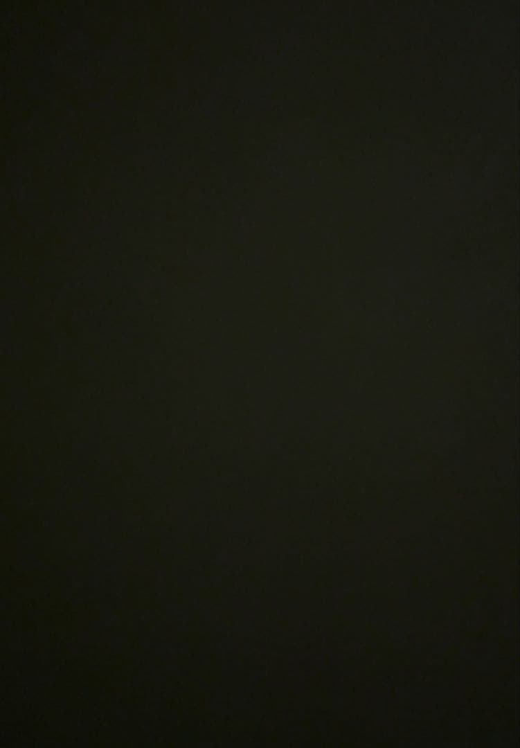 ポケモンカードゲーム ru _