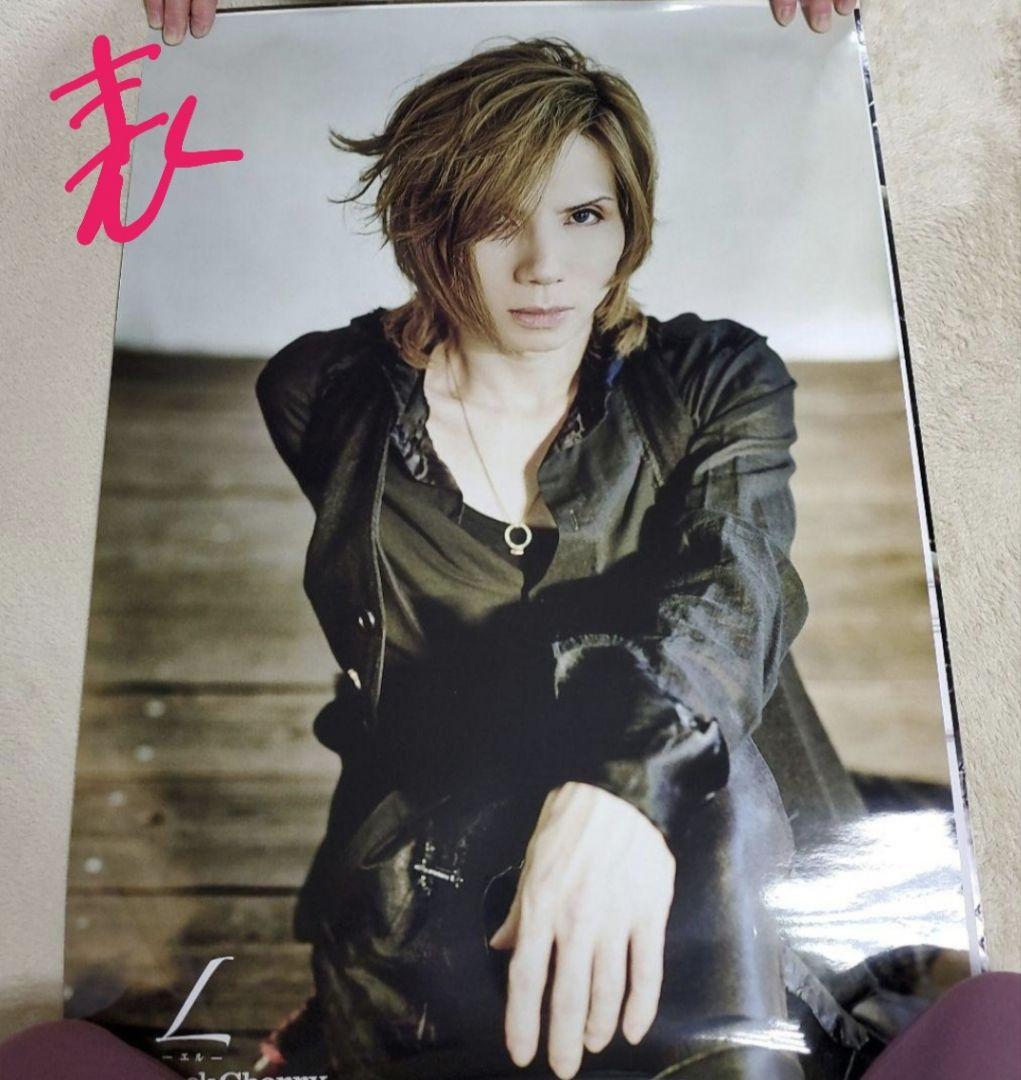 Acid Black Cherry L 両面ポスター　その②