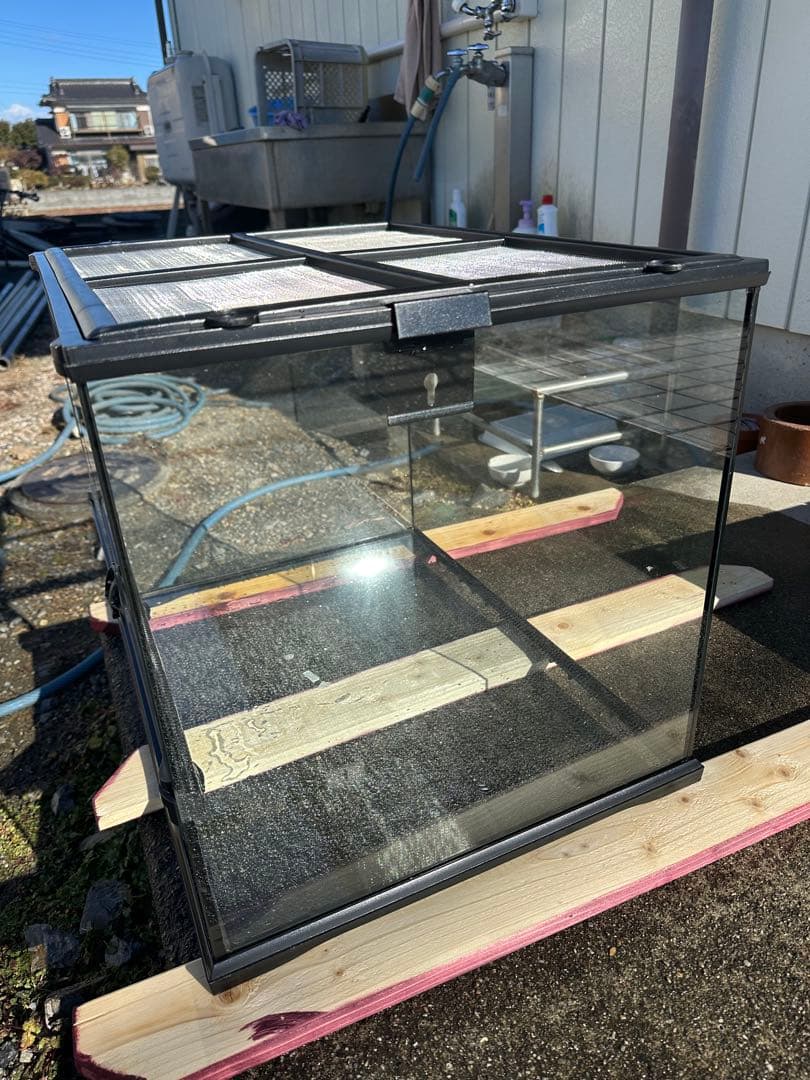 桃愛GEX グラステラリウム　6045