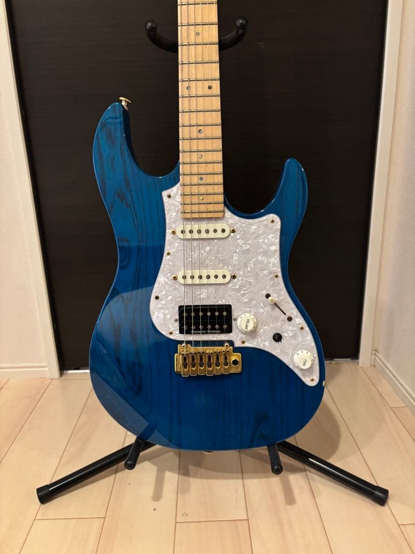 ギター Fujigen EXPERT OS