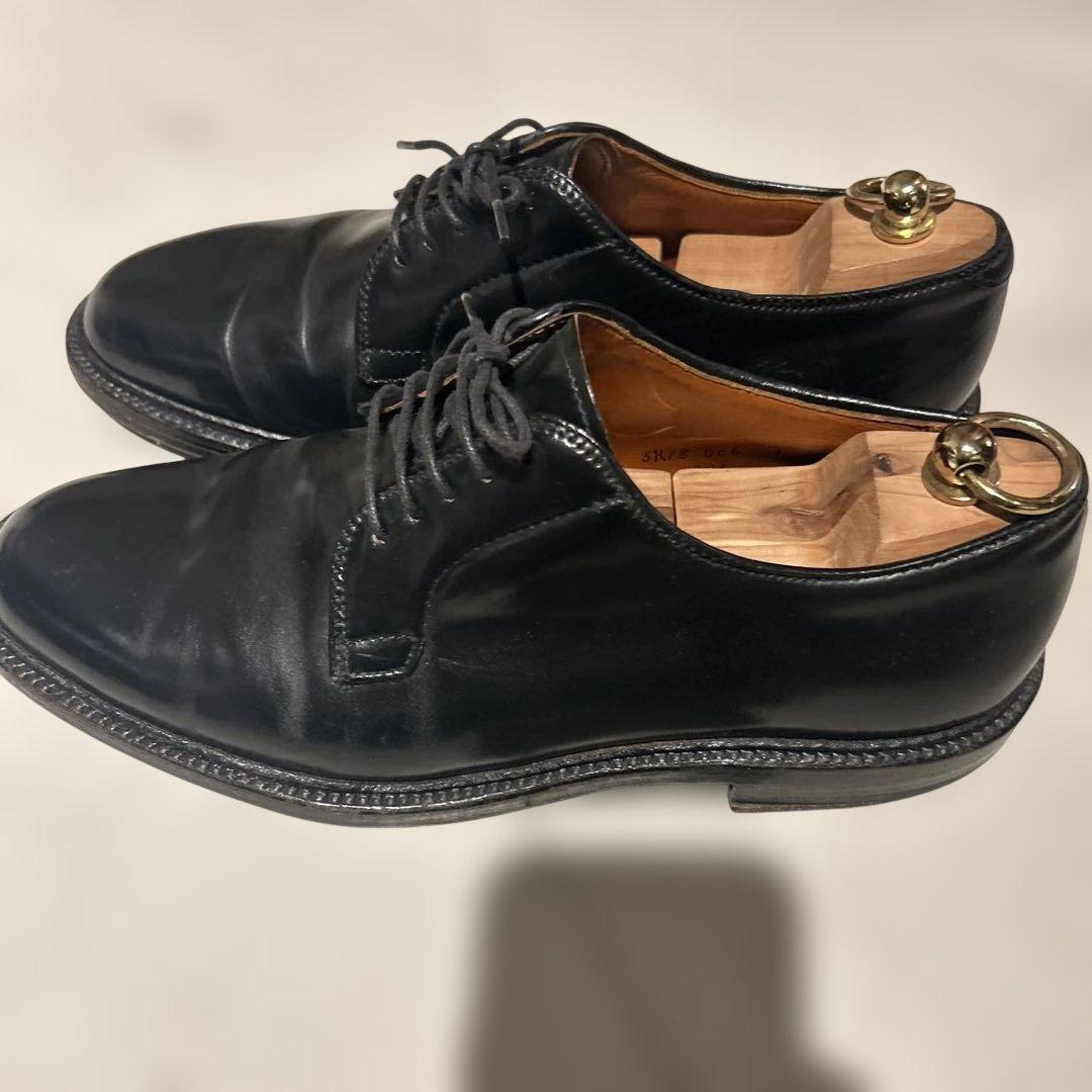 alden 9901 コードバン
