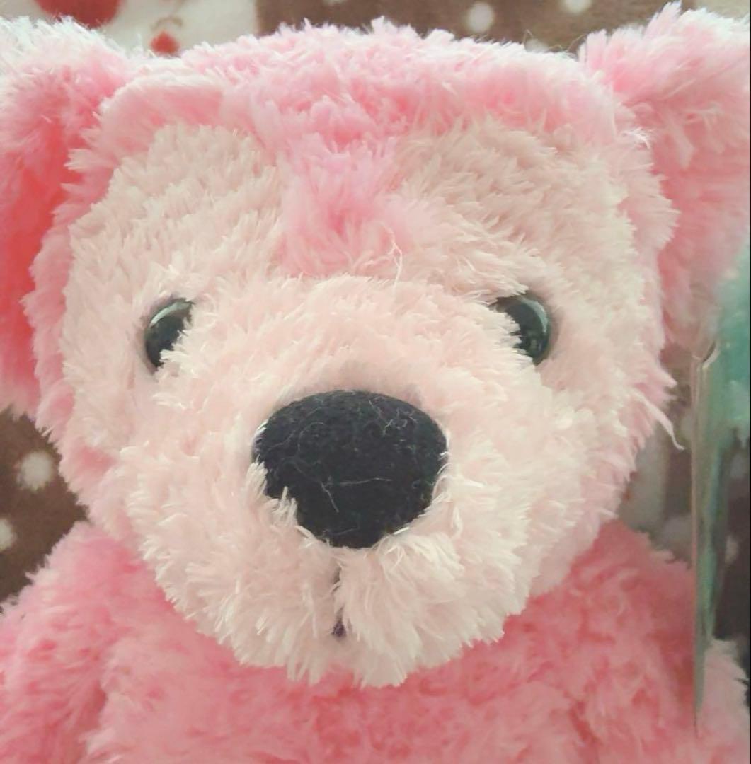 WDW ダッフィー ディズニーベア カラーダッフィー ピンク