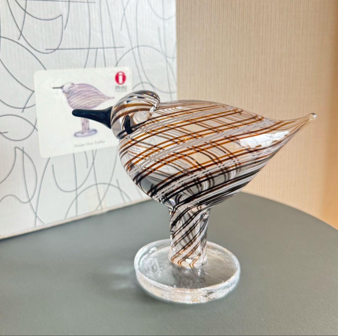 【希少】イッタラ バード Ringedplover オイバトイッカ　箱付き