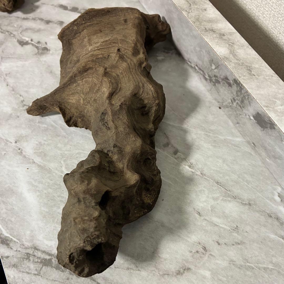 水槽用流木 自然な形状 熱帯魚　約18cm