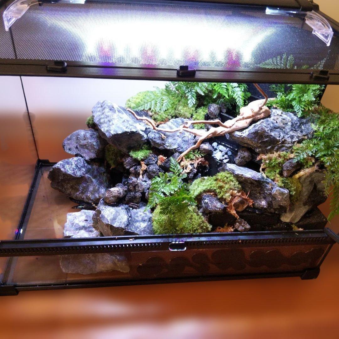【受注生産】滝のあるアクアテラリウム　イモリウム　苔テラリウム　アクアテラリウム