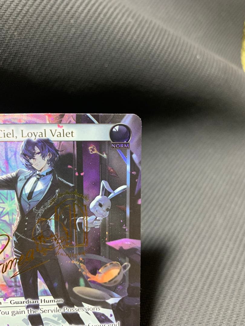 レ*ン様 Grand Archive Ciel Loyal Valet CSR