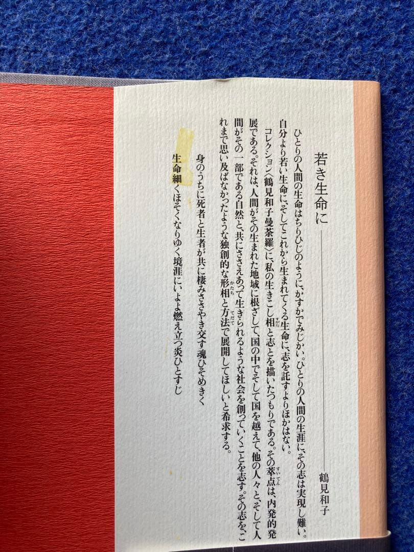 鶴見和子曼荼羅II 人の巻　日本人のライフ・ヒストリー