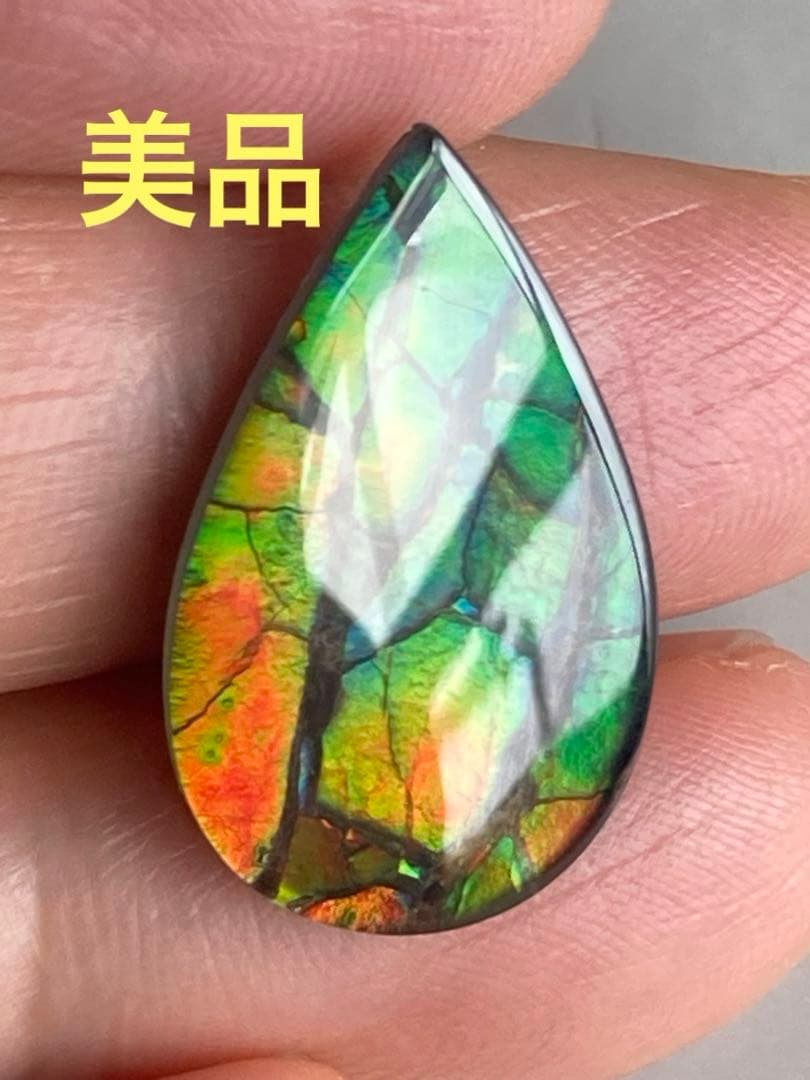 アンモライトルース　化石　原石　幅2.2cm 美品