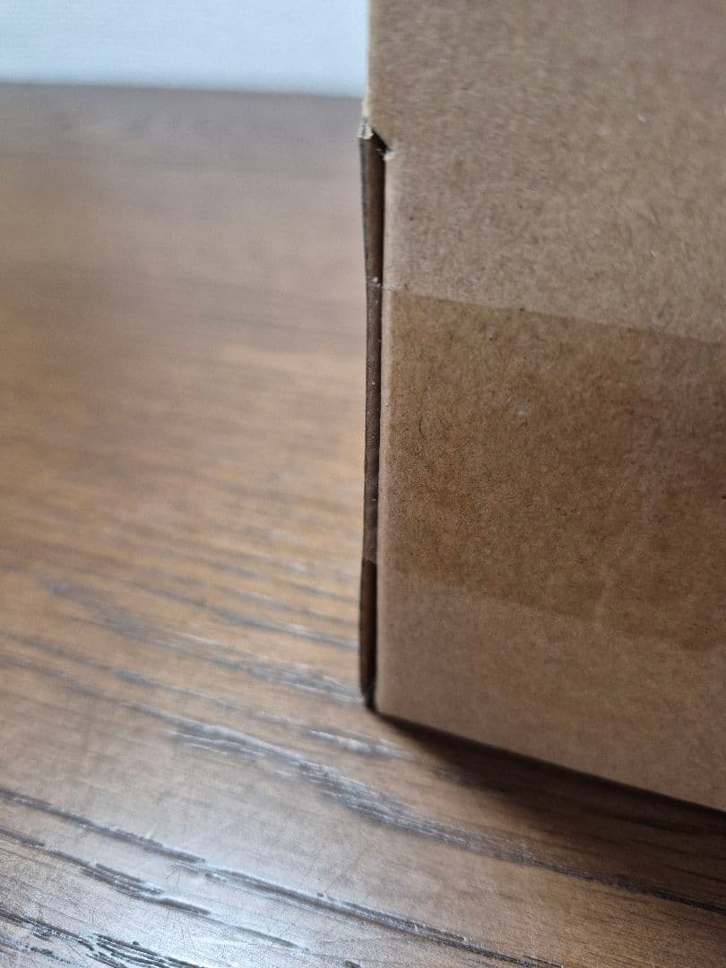 ゴジラ-1.0 (2023) 少年リック限定版 東宝30cmシリーズ未開封