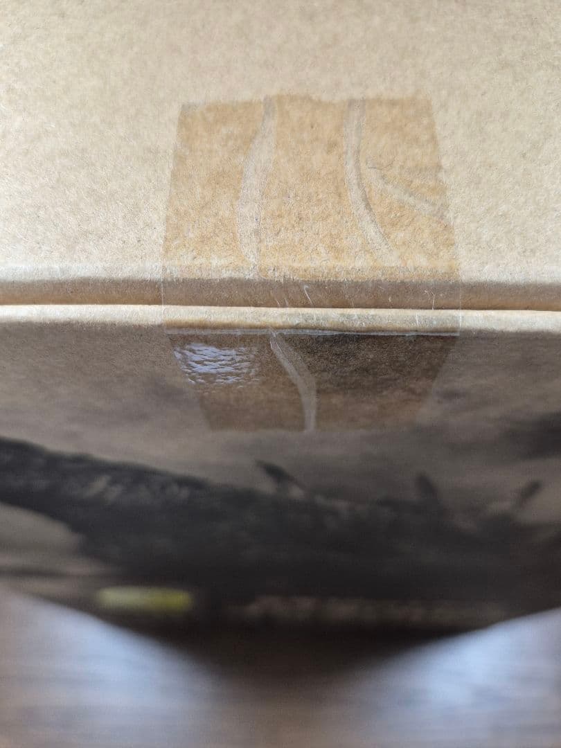 ゴジラ-1.0 (2023) 少年リック限定版 東宝30cmシリーズ未開封