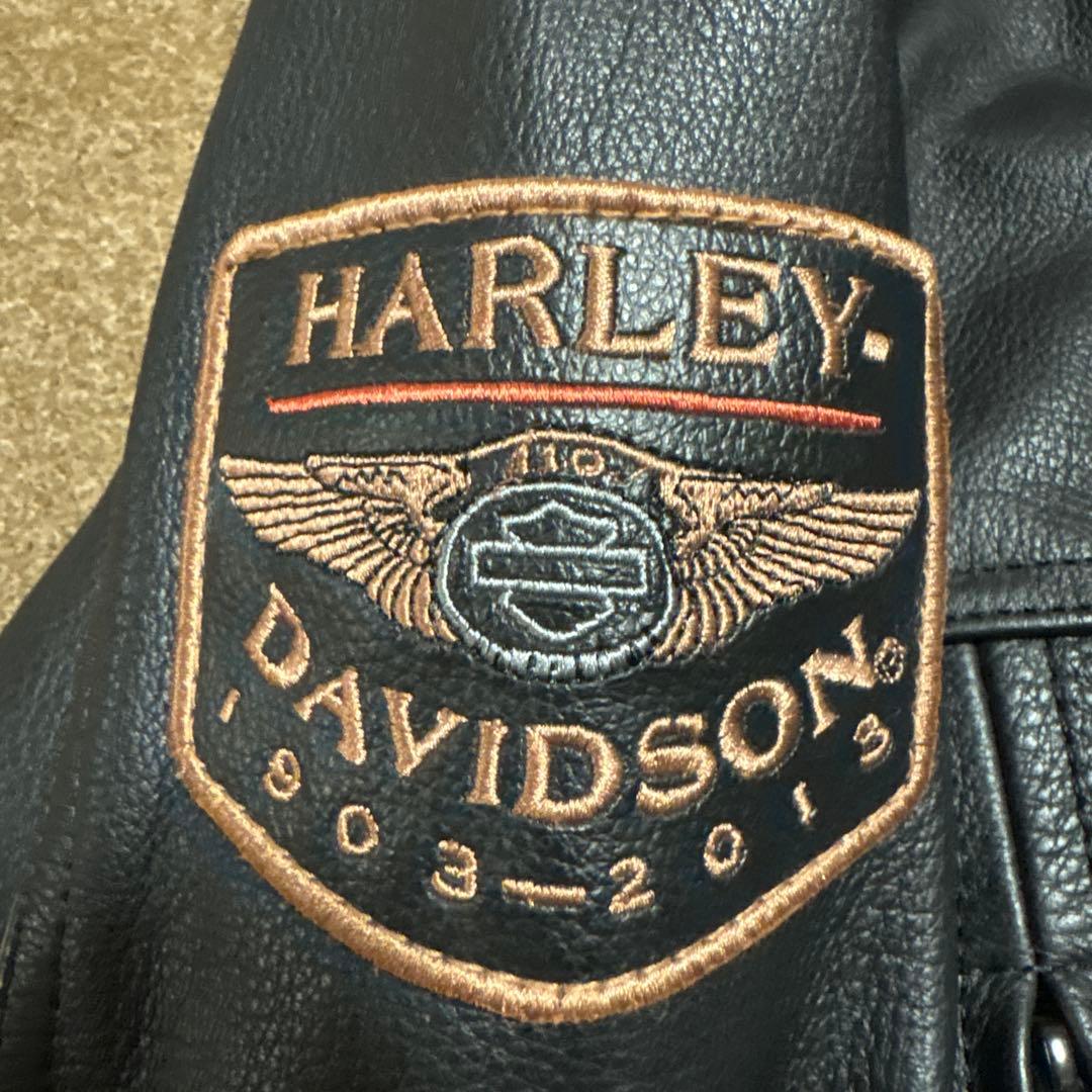 Sサイズ　110周年　レザー　シングルライダースジャケット