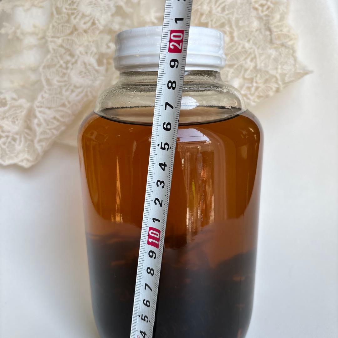 スズメバチの焼酎漬け　大瓶