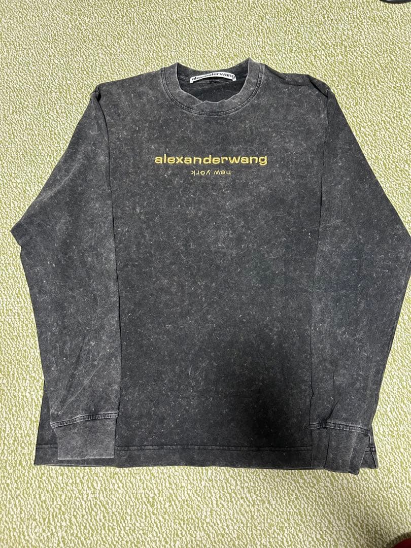 aiexanderwang ロンT