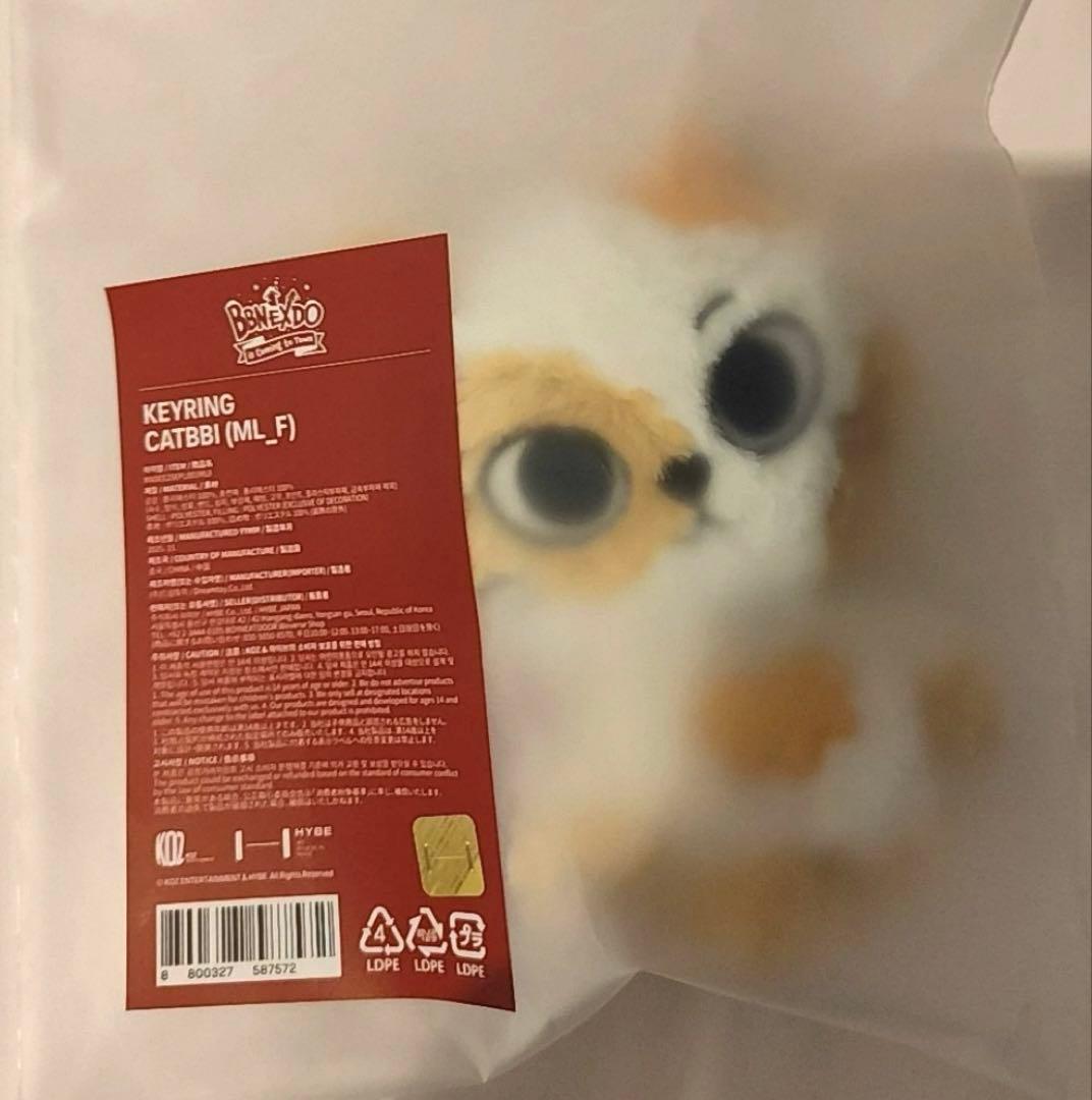 BOYNEXTDOOR CATBBI クリスマス BBNEXDOキーホルダー