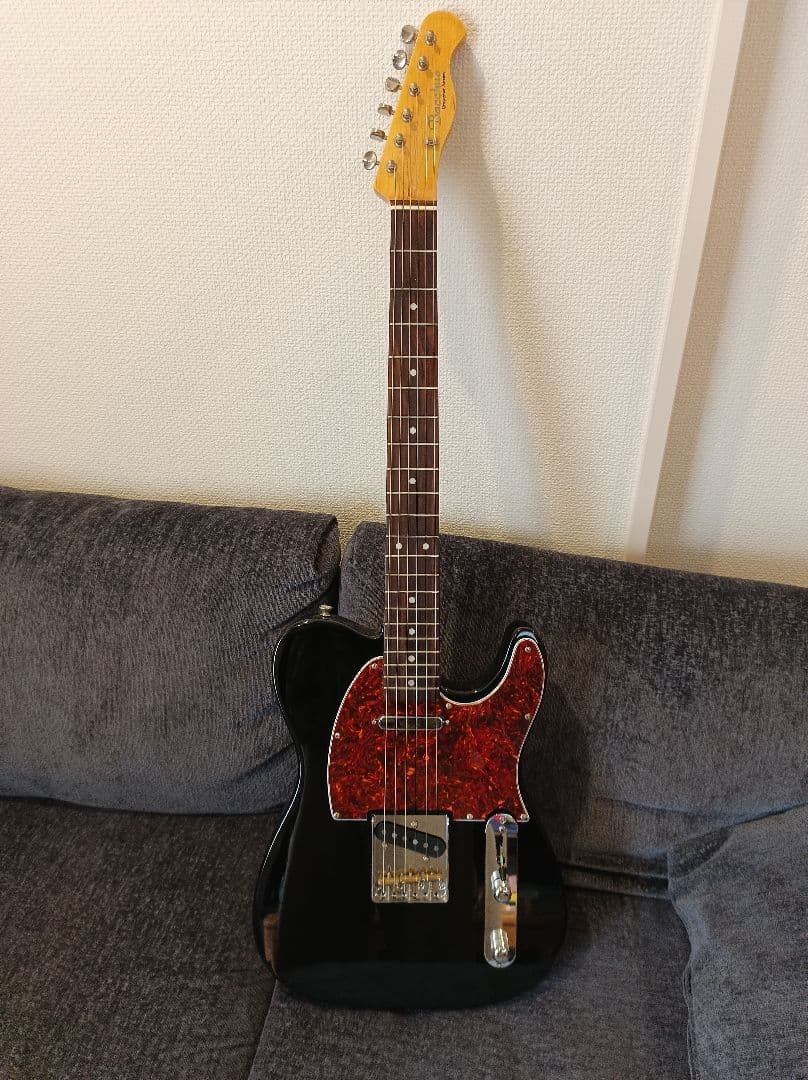 Bacchus Universal Series テレキャスタータイプ