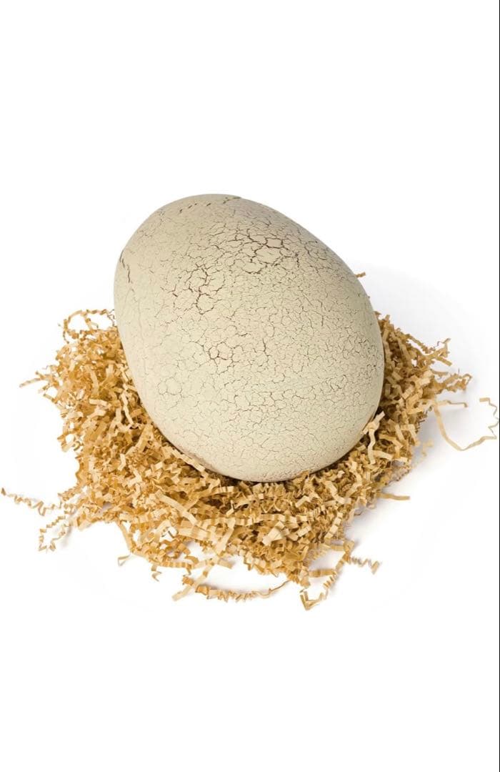 ジュラシック・ワールド T-レックス卵