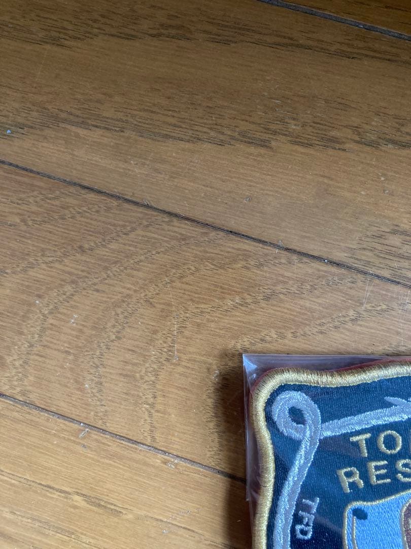 東京の消防士　ワッペン　即応