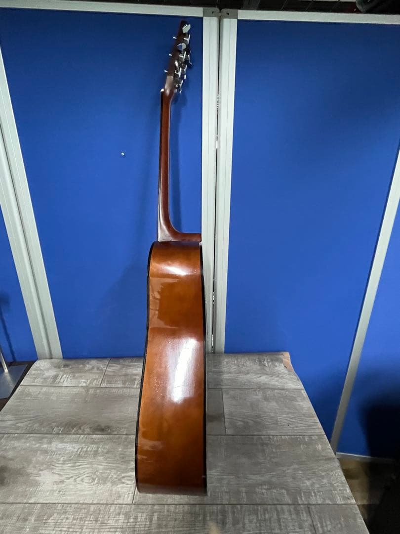 Morris モーリス　アコースティックギター MD-501 ドレッドノート