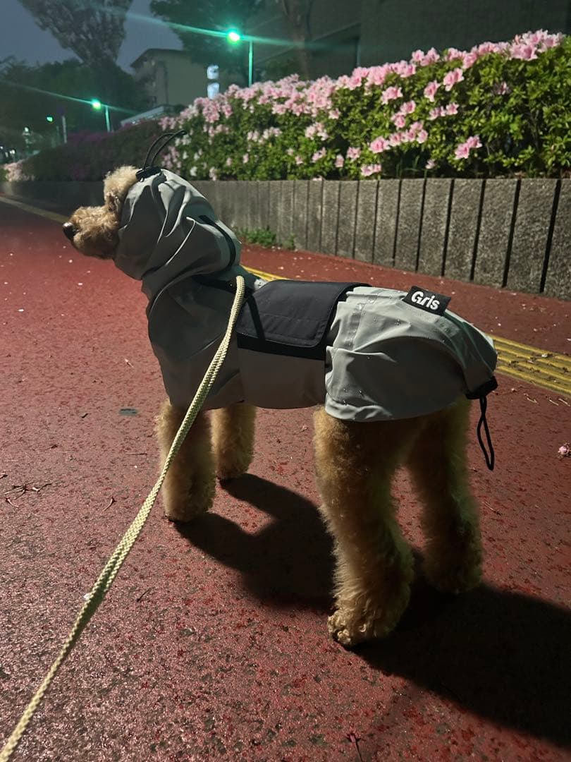 Gris 犬用レインコート Sグレー