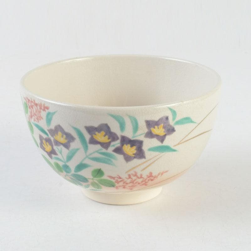 茶道具　白井半七造　色絵　秋草絵　茶碗　銘「涼風」　即中斎極め箱　M　9726