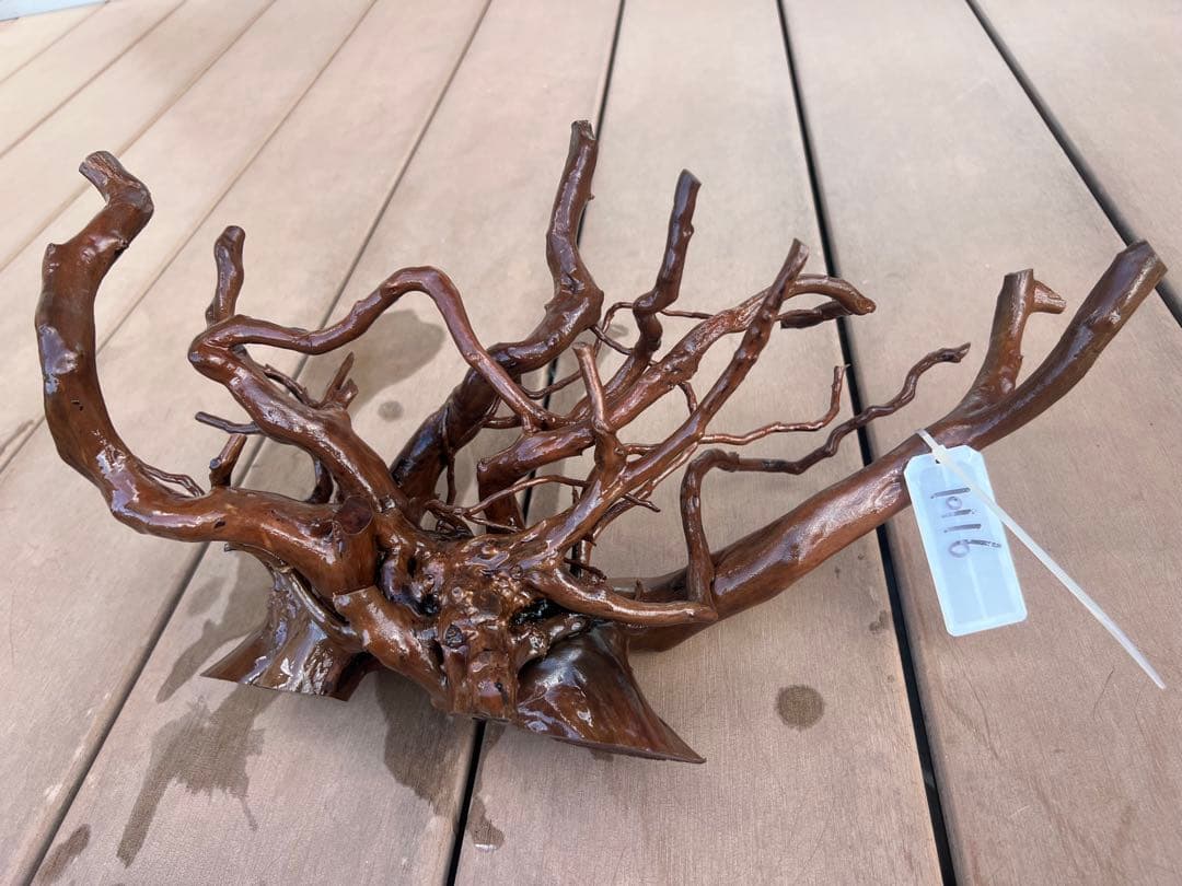 10116ブランチウッド　流木　アクアリウム 沈水確認済