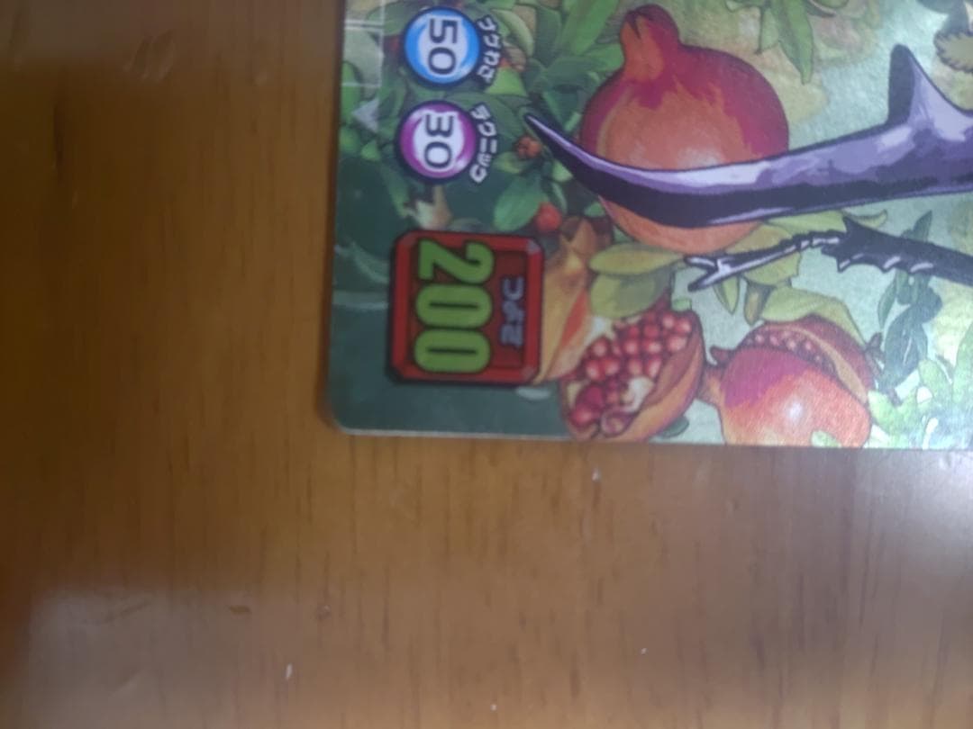 ムシキング　マンディブラリスフタマタクワガタ　五周年