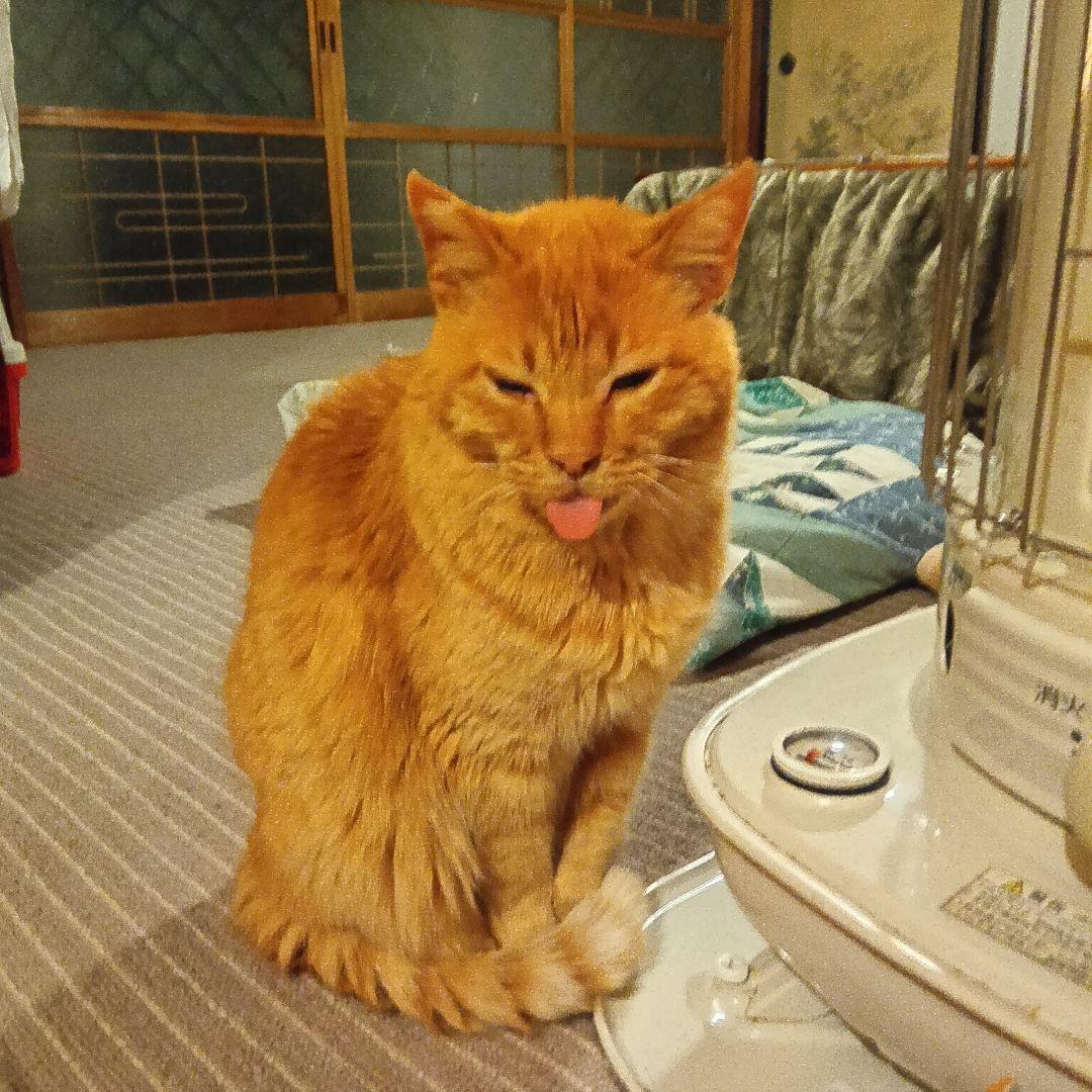 Pioneer CDJ-350 タイターニア