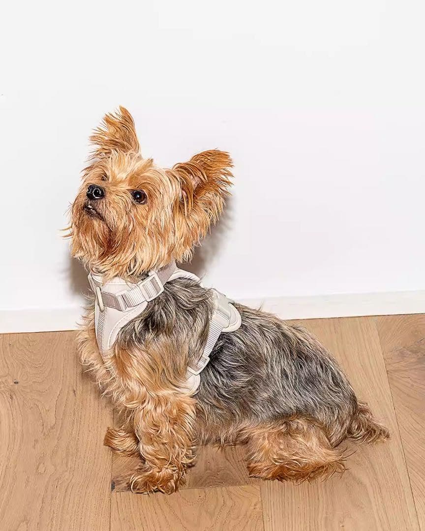 Wild One ドッグハーネス L クッション 犬 軽量 新品 未使用