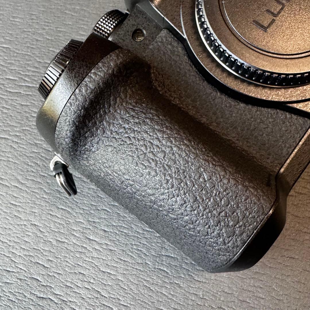 【美品】LUMIX DC-G99