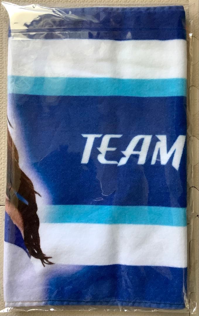 横浜DeNAベイスターズ　dianaミーグリセット　FUKA