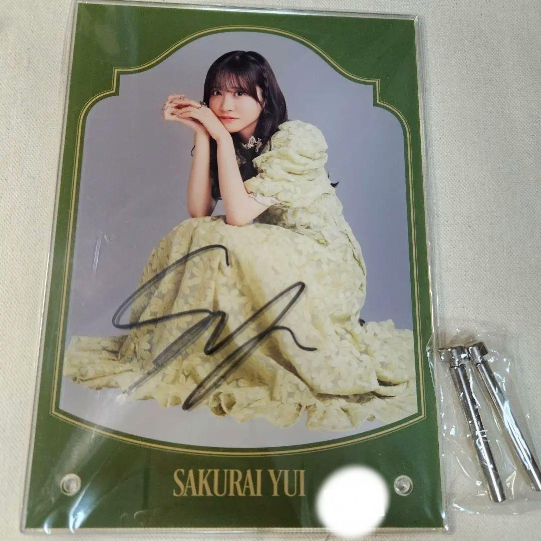 FRUITS ZIPPER　櫻井優衣　直筆サイン入りアクリルフォトパネル