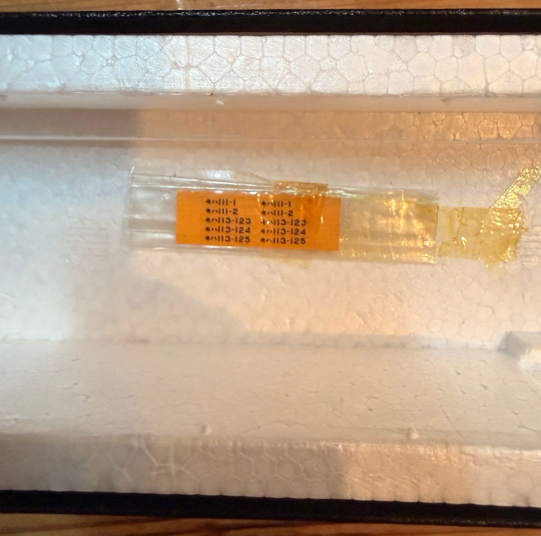 KATSUMI カツミ 近郊型電車 HOゲージ 16.5mm 真鍮製 完成品