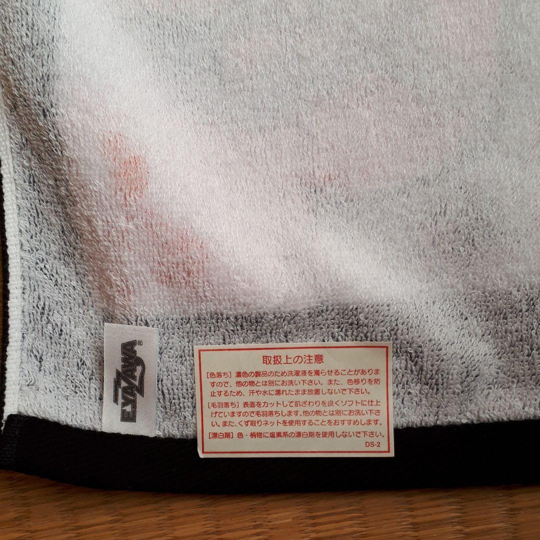 矢沢フェイスタオルパンフレット