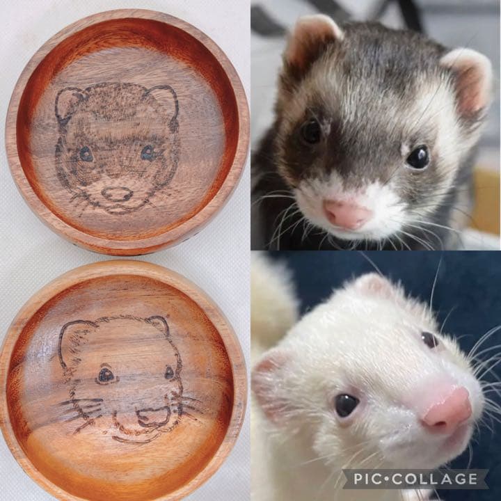 確認ページ♡猫ちゃん4匹♡フェレット10匹