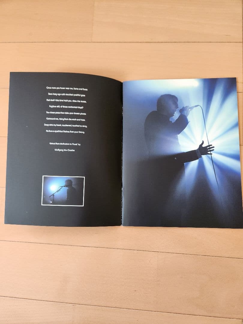 Bauhaus Resurrection 98 TOUR パンフレット