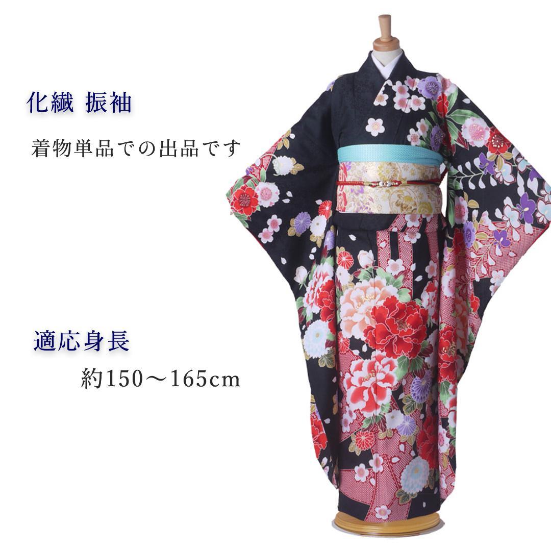 【化繊・仕立て上がり】 振袖 黒 モダン 古典 成人式 前撮り C910