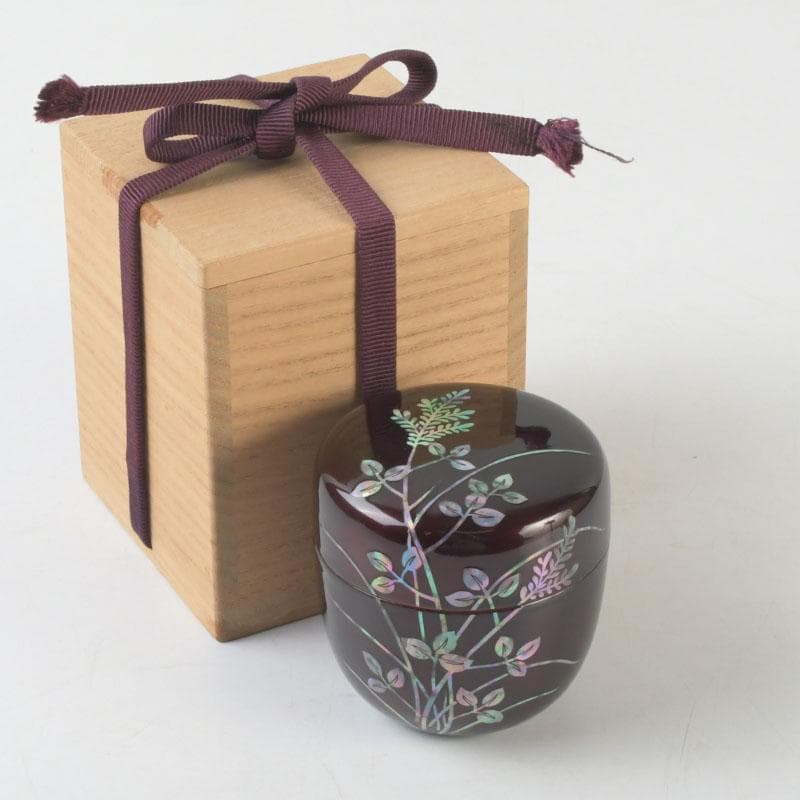 茶道具　螺鈿装飾　草蒔絵　棗　時代箱　V　9673