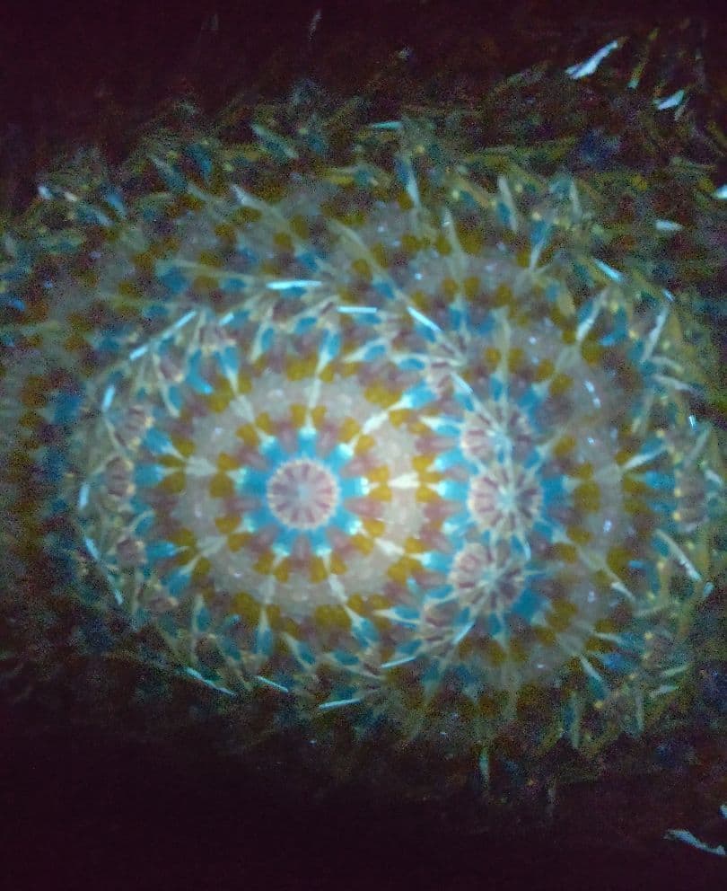 万華鏡作家さんの万華鏡【クリスタル】